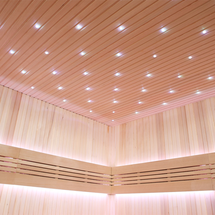 Sauna 5Eck 220x220 Galerie (9)